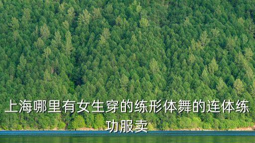 女舞蹈形体训练套装，舞蹈练功服黑色紧身上衣前后v领女士