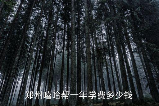 郑州嘻哈帮一年学费多少钱