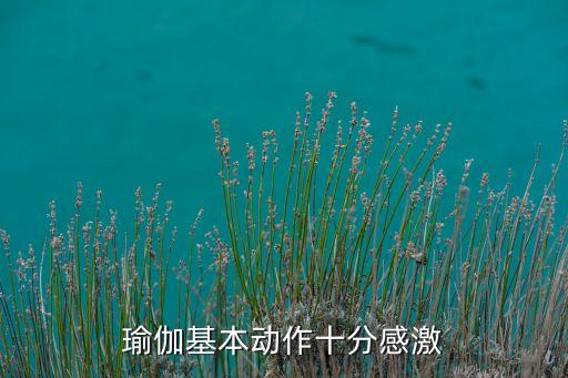 瑜伽基本动作十分感激
