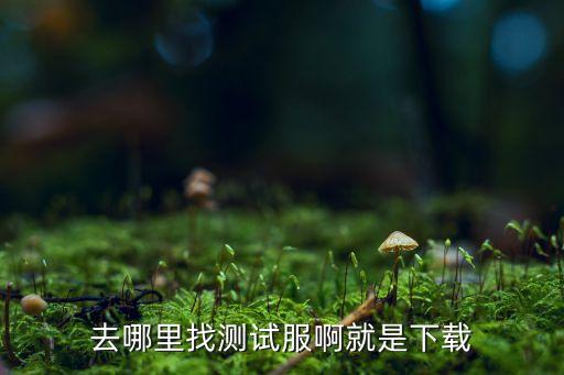 以闪亮之名测试服下载，去哪里找测试服啊就是下载