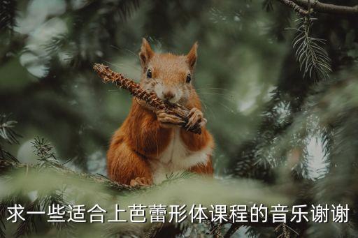 形体课是什么音乐，求一些适合上芭蕾形体课程的音乐谢谢