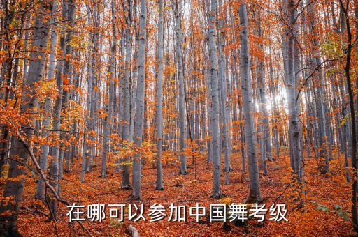在哪可以参加中国舞考级