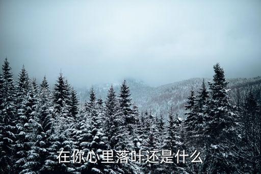 在你心里落叶还是什么