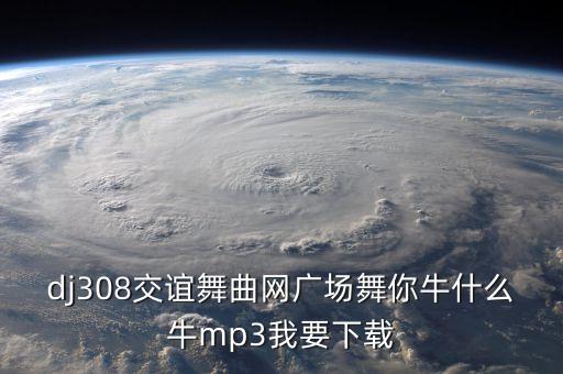 玫瑰广场舞你牛什么牛，广场舞你牛甚么牛mp3
