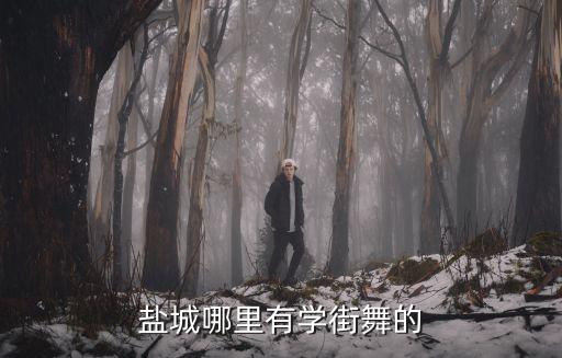 盐城哪里有学街舞的