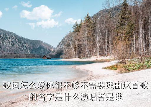 歌词怎么爱你都不够不需要理由这首歌的名字是什么演唱者是谁