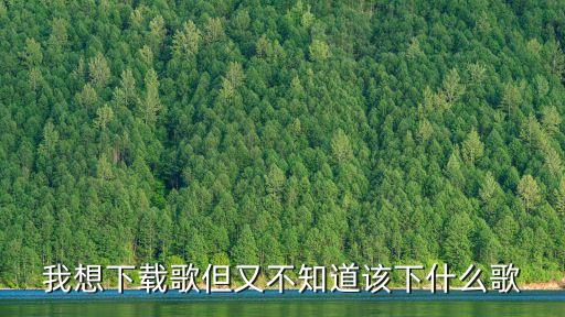 我想下载歌但又不知道该下什么歌