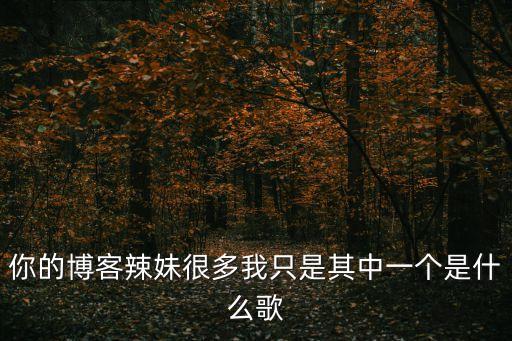 你的博客辣妹很多我只是其中一个是什么歌