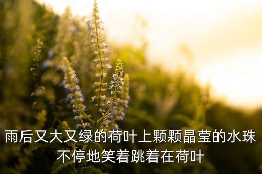 雨后又大又绿的荷叶上颗颗晶莹的水珠不停地笑着跳着在荷叶
