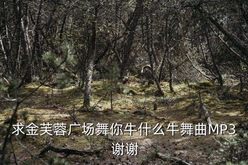 求金芙蓉广场舞你牛什么牛舞曲MP3 谢谢
