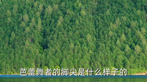 芭蕾舞者的脚尖是什么样子的