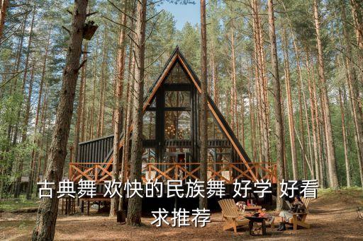 古典舞 欢快的民族舞 好学 好看 求推荐