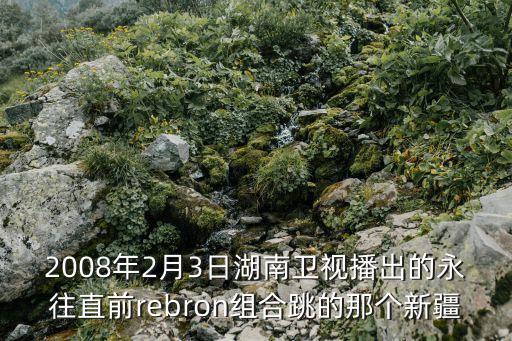 2008年2月3日湖南卫视播出的永往直前rebron组合跳的那个新疆