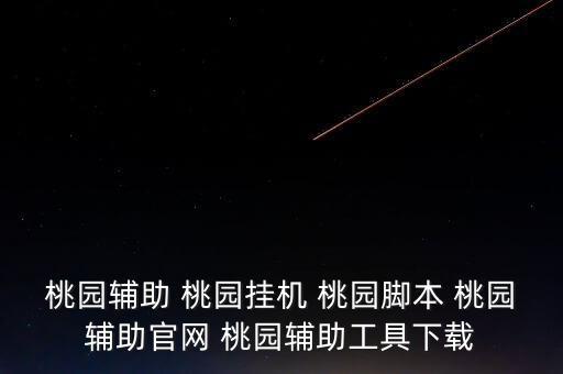 桃园辅助 桃园挂机 桃园脚本 桃园辅助官网 桃园辅助工具下载