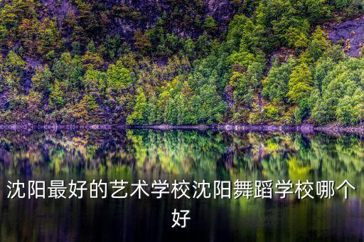 沈阳最好的艺术学校沈阳舞蹈学校哪个好