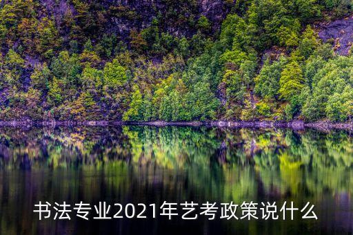 书法专业2021年艺考政策说什么