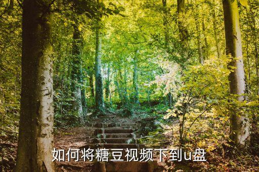 糖豆网广场舞怎么下载，电脑怎么下载糖豆广场舞