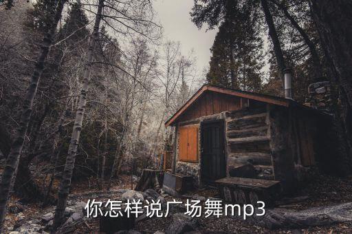 你怎样说广场舞mp3