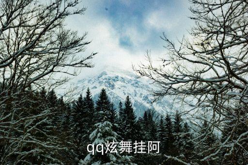 唱舞全明星辅助工具下载，qq炫舞挂阿