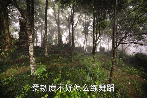 柔韧度不好怎么练舞蹈