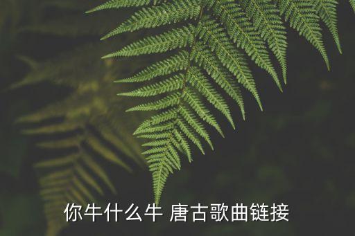 你牛什么牛广场舞音乐，廉江两么强背景歌曲