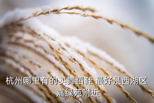 杭州哪里有的买舞蹈鞋 最好是西湖区 嘉绿苑附近