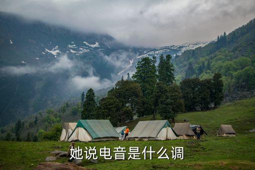 网络世界有个你电音是什么调啊，她说电音是什么调