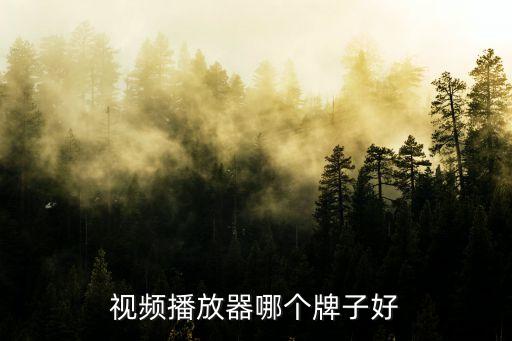 广场舞播放器十强品牌排行榜，什么样的舞曲播放器好用