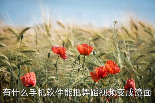 有什么手机软件能把舞蹈视频变成镜面