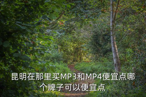 昆明在那里买MP3和MP4便宜点哪个牌子可以便宜点