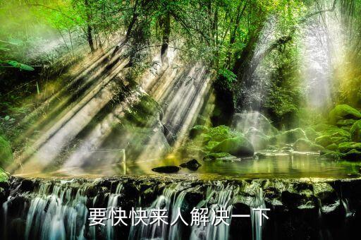 孔雀故乡是什么舞蹈，杨丽萍对云南有什么贡献
