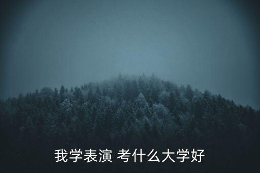 我学表演 考什么大学好