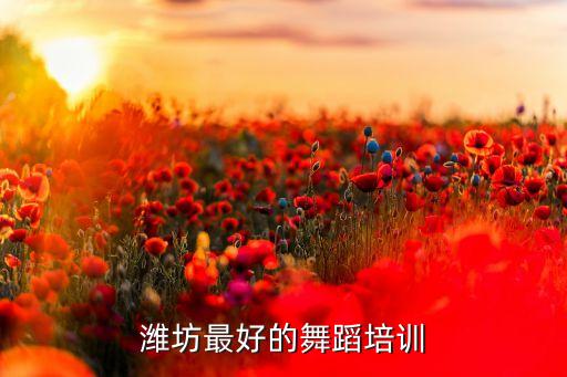 潍坊最好的舞蹈培训