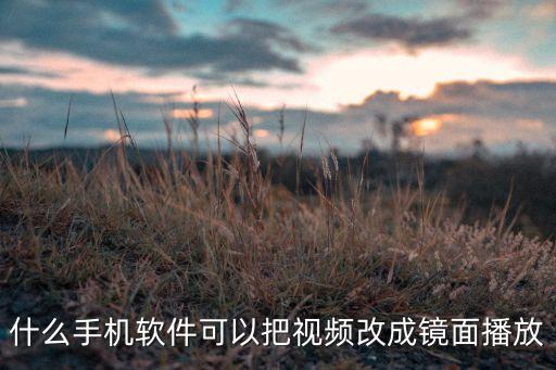 手机怎么把视频转镜面，什么手机软件可以把视频改成镜面播放