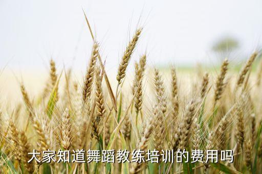 中国舞培训价格表，一般艺术学校的报价多少