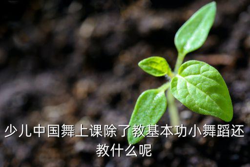舞蹈小课学些什么，少儿中国舞上课除了教基本功小舞蹈还教什么呢