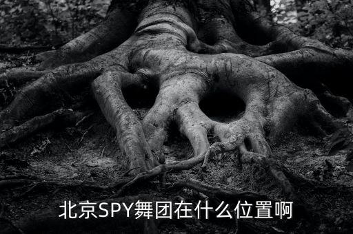 北京SPY舞团在什么位置啊