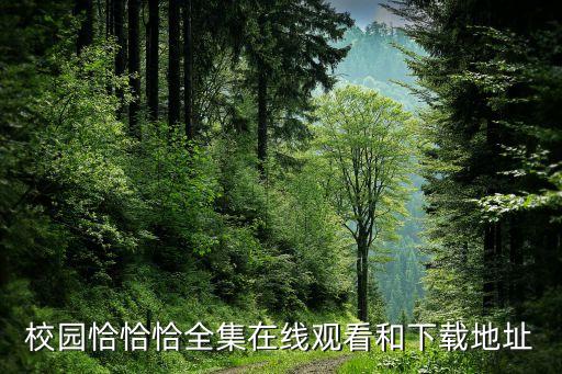蒙面广场舞视频播放在线观看，广场舞哑巴新娘40步