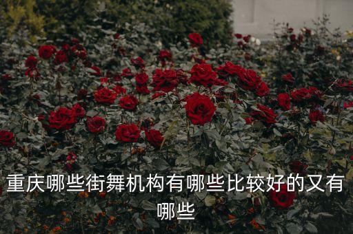 重庆哪些街舞机构有哪些比较好的又有哪些