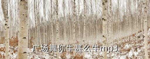 广场舞你牛甚么牛mp3