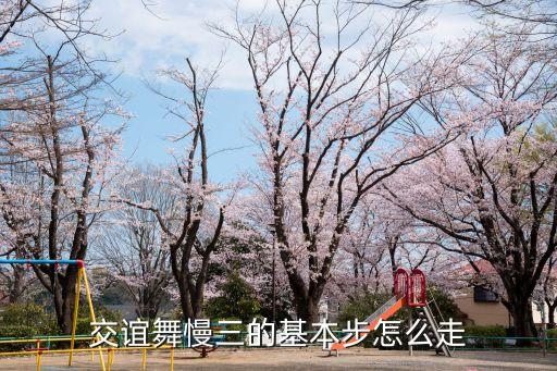 荡三舞步怎么走的，四步舞里的荡步怎么做