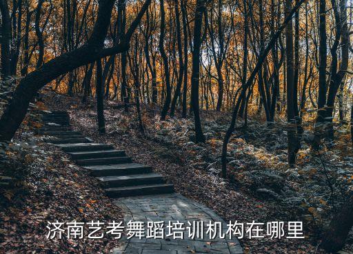 济南艺考舞蹈培训机构在哪里