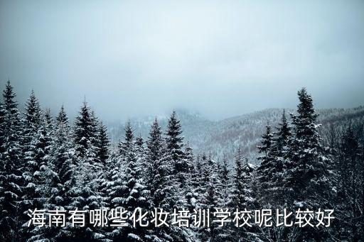 海南有哪些化妆培训学校呢比较好