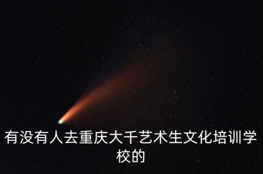 有没有人去重庆大千艺术生文化培训学校的