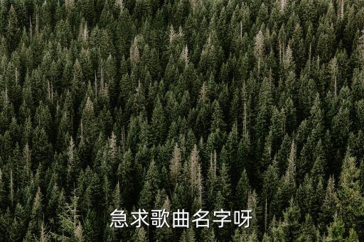 急求歌曲名字呀