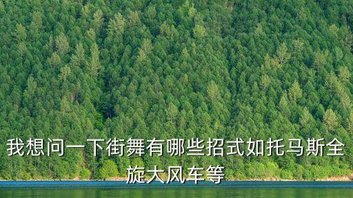 我想问一下街舞有哪些招式如托马斯全旋大风车等