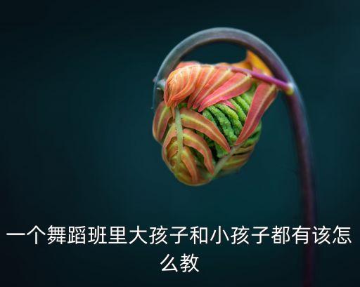 一个舞蹈组合该怎么教，教群舞怎么教的有什么技巧呢急