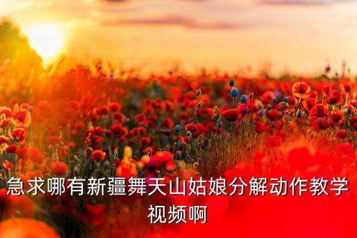 急求哪有新疆舞天山姑娘分解动作教学视频啊