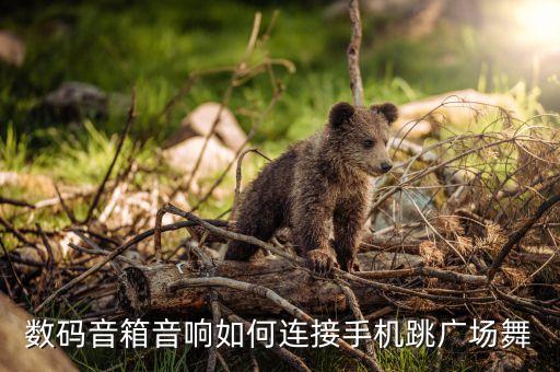 数码音箱音响如何连接手机跳广场舞