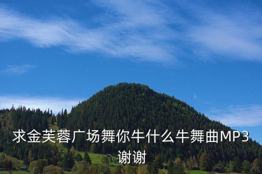 求金芙蓉广场舞你牛什么牛舞曲MP3 谢谢